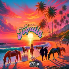 Tequila Sunrise - Single by Conscxous album reviews, ratings, credits
