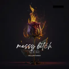 Messy Bitch - Single by Sentari album reviews, ratings, credits