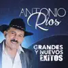 Grandes y Nuevos Éxitos album lyrics, reviews, download