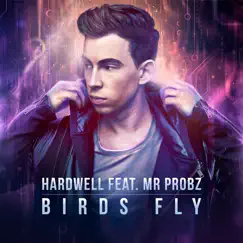 Birds Fly (feat. Mr. Probz) [eSQUIRE Late Night Remix] Song Lyrics