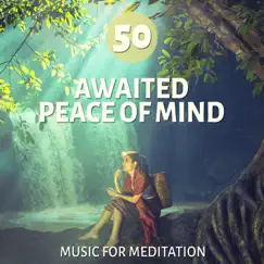 Peaceful Mind & Soul (Chinese Echo & Water) Song Lyrics