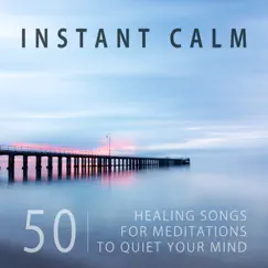 How to Calm Your Mind Song Lyrics
