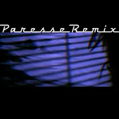 Why You Scream (Paresse Extended Remix) Song Lyrics