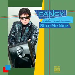 Slice Me Nice (Remixes) by Fancy & Adam van Hammer album reviews, ratings, credits