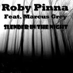 Slender in the Night (feat. Marcus Grey) - Single by Roby Pinna album reviews, ratings, credits