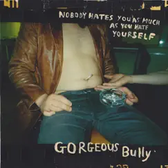 Nobody Hates You as Much as You Hate Yourself - EP by Gorgeous Bully album reviews, ratings, credits