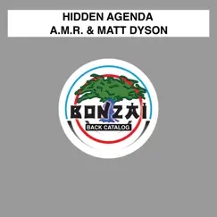 Hidden Agenda - Single by A.M.R & Matt Dyson album reviews, ratings, credits