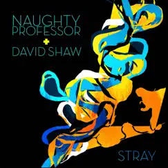 Stray - Single by Naughty Professor & David Shaw album reviews, ratings, credits
