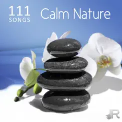 Keep Calm Nature Sounds Song Lyrics
