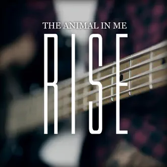 Rise - Single by The Animal In Me album download