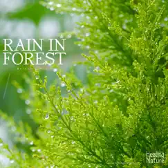 Rain In Forest Relaxing Music by Healing Nature album reviews, ratings, credits