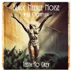 Teeth to Grey (feat. Omniflux) Song Lyrics
