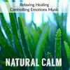 Natural Calm - Relaxing Healing Controlling Emotions Music for Yoga Exercises Peace and Serenity with Soothing Nature New Age Sounds album lyrics, reviews, download