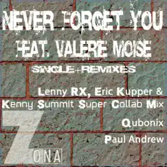Never Forget You (Qubonix Main Vocal) [feat. Valerie Moise] Song Lyrics
