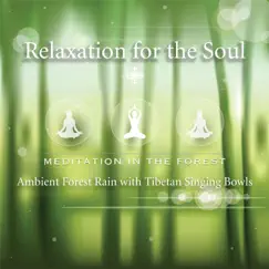 Meditation in the Forest (Ambient Forest Rain With Tibetan Singing Bowls) by Relaxation for the Soul album reviews, ratings, credits