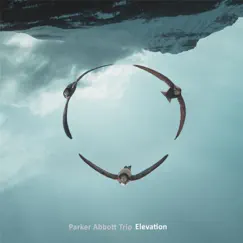 Elevation by Parker Abbott Trio album reviews, ratings, credits