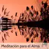 Meditación para el Alma – Canciones Relajantes para Meditar, Hacer Yoga y Manejar el Estrés album lyrics, reviews, download