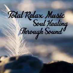 Total Relax Music: Soul Healing Through Sound, Calming Emotions, Stress Relief Music, Meditation, Reiki, Yoga by Meditation Mantras Guru album reviews, ratings, credits