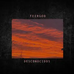Desconocidos - Single by Feergoo album reviews, ratings, credits