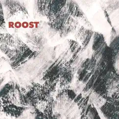Self-Titled - EP by Roost.World album reviews, ratings, credits