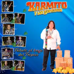 Tributo al Brujo del Trópico - EP by Karmito Y Los Supremos album reviews, ratings, credits