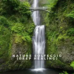 Nature Solfeggio Serene Waterfall Song Lyrics