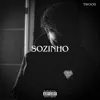 Sozinho (Slowed+Reverb) - Single album lyrics, reviews, download