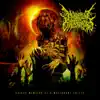 Odious Memoirs of a Malignant Entity album lyrics, reviews, download