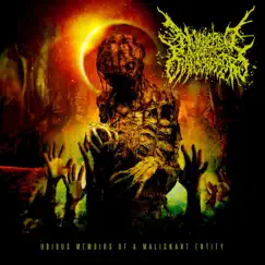 Odious Memoirs of a Malignant Entity by Numbered With The Transgressors album reviews, ratings, credits