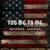 Too Big To Rig song lyrics