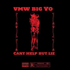 Can’t Help but Lie - Single by VMW Big Yo album reviews, ratings, credits