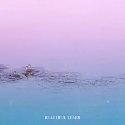 Beautiful Tears - Single by Dez Busta album reviews, ratings, credits