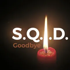 Goodbye - Single by S.Q.I.D. album reviews, ratings, credits