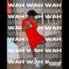 Wah Wah Wah - Single by K9 Junior album reviews, ratings, credits