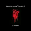 Promise I Won't Lose It - Single album lyrics, reviews, download