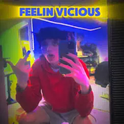 Feelin Vicious - Single by B Rose album reviews, ratings, credits