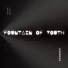 Fountain of Youth - Single album lyrics, reviews, download