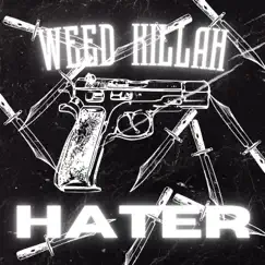 Hater - Single by Weed Killah album reviews, ratings, credits