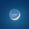 Moonlight (Slowed Down) - Single album lyrics, reviews, download