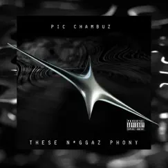 These NgZ Phony - Single by Pic Chambuz album reviews, ratings, credits