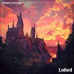 Harry and Hermione - Harry Potter and the Half-Blood Prince (Lofi) Song Lyrics