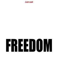 Freedom - Single by Isaiah Robin album reviews, ratings, credits