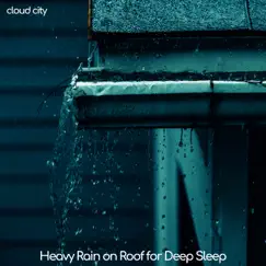 Heavy Rain on Roof - Time for Real Rest Song Lyrics