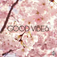 GOOD VIBES - Single by Eriz MC album reviews, ratings, credits