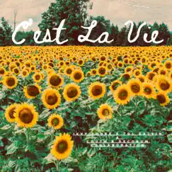 C'est La Vie (feat. Tol Calvin) - Single by Ivvy Jones album reviews, ratings, credits