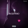 Sozinho (Speed Up) - Single album lyrics, reviews, download