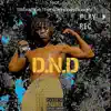 D.N.D (feat. STKBAMBO & THEREALMONEYHUNGRY) song lyrics