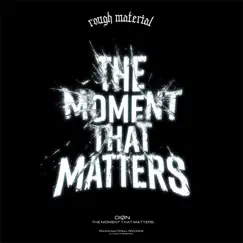 The Moment That Matters - Single by Dion album reviews, ratings, credits