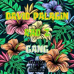 Gang - EP by David Palagin & Rad Z album reviews, ratings, credits