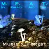 Music Forest - Single album lyrics, reviews, download